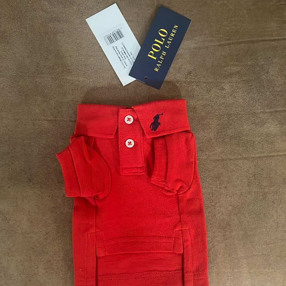 Xtra-Small Ralph Lauren Polo for dog